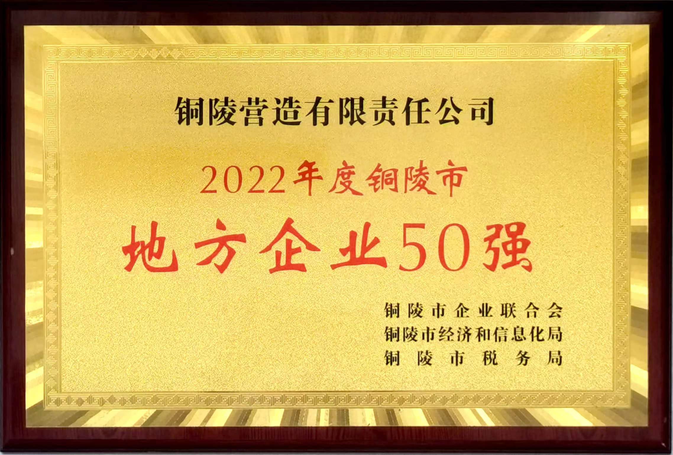 2022年度銅陵市地方企業(yè)50強(qiáng)