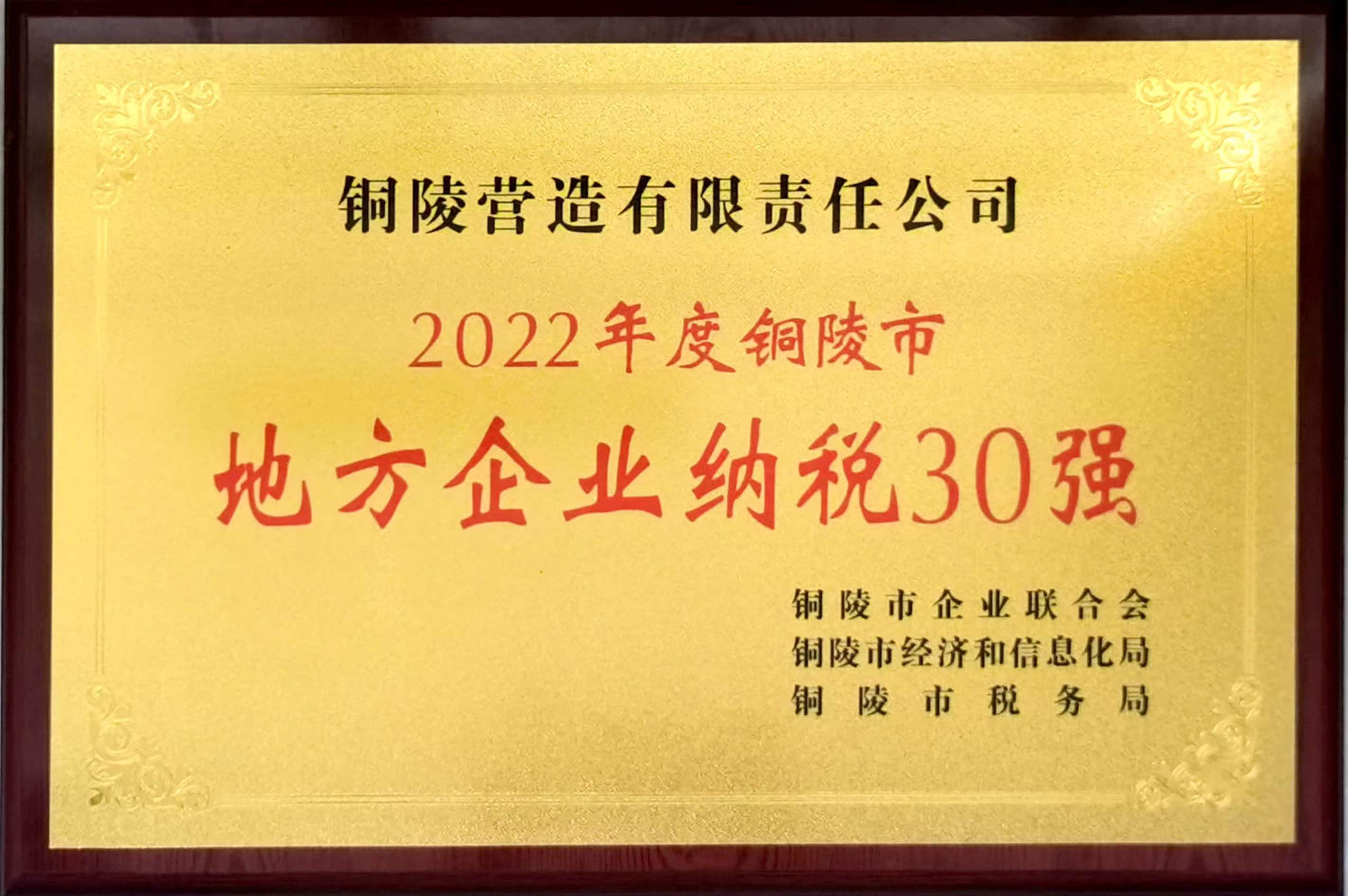 2022年度銅陵市地方企業(yè)納稅30強(qiáng)